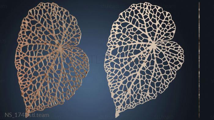 Нестандарт Leaf