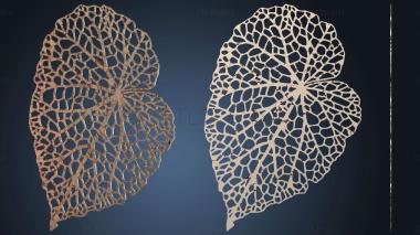 3D model Leaf (STL)