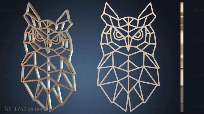 Нестандарт Lechuzas Owl D nocturnal