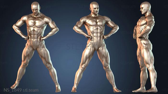 Нестандарт NS_1849