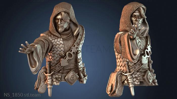 Нестандарт NS_1850