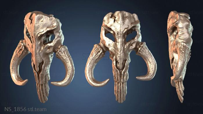 Нестандарт NS_1856