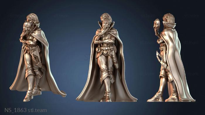 Нестандарт NS_1863