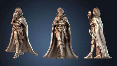 3D модель NESTANDART_1863 (STL)