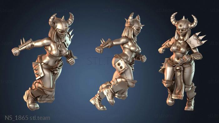 Нестандарт NS_1865