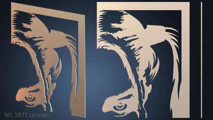 Нестандарт NS_1871