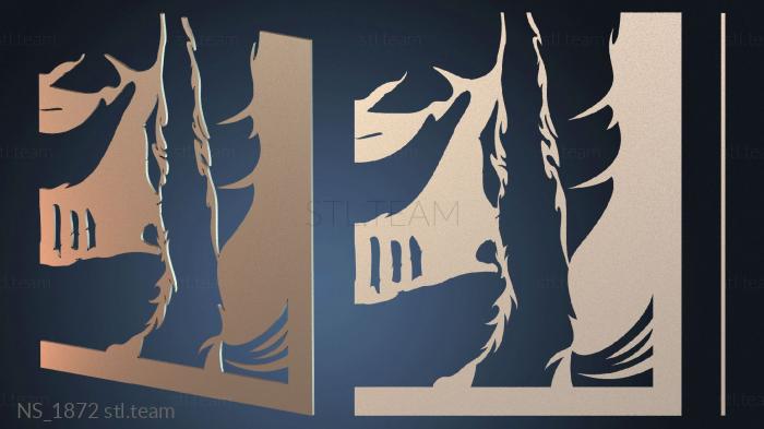 Нестандарт NS_1872