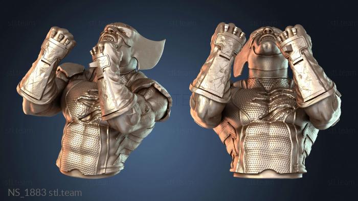 Нестандарт NS_1883