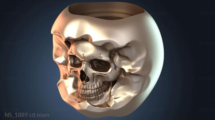 Нестандарт NS_1889