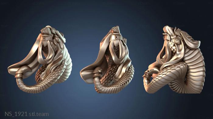 Нестандарт NS_1921