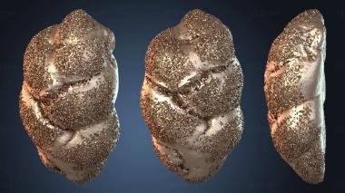 3D модель Монцопф (STL)