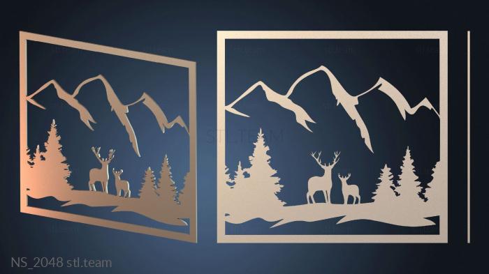 Нестандарт NS_2048