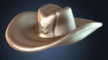 3D модель Ковбойская шляпа NSFW (STL)