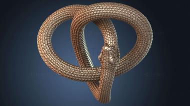 3D model Ouroboros Flat winding (STL)