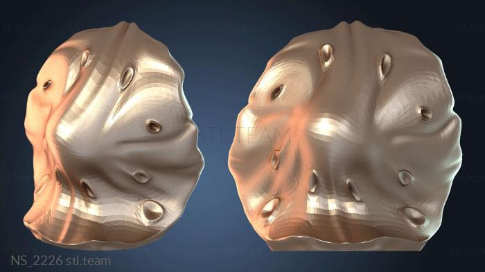 Нестандарт NS_2226