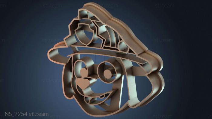 Нестандарт NS_2254