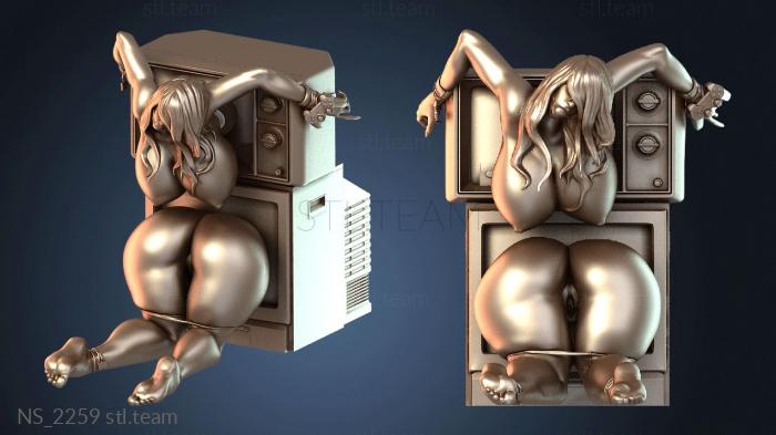 Нестандарт NS_2259