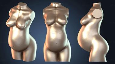 3D модель NESTANDART_2419 (STL)