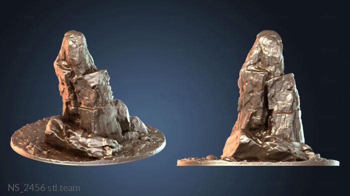 Нестандарт NS_2456