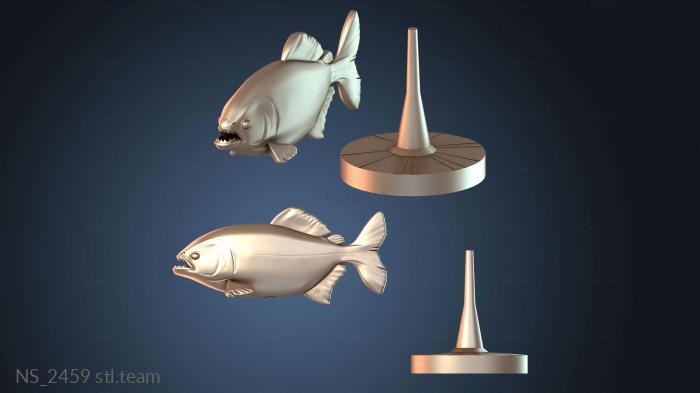 Нестандарт NS_2459