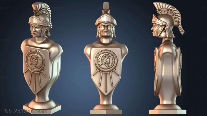 Нестандарт NS_2510