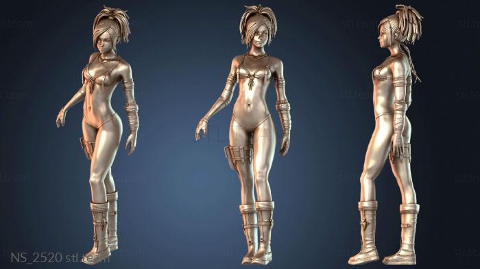 Нестандарт NS_2520