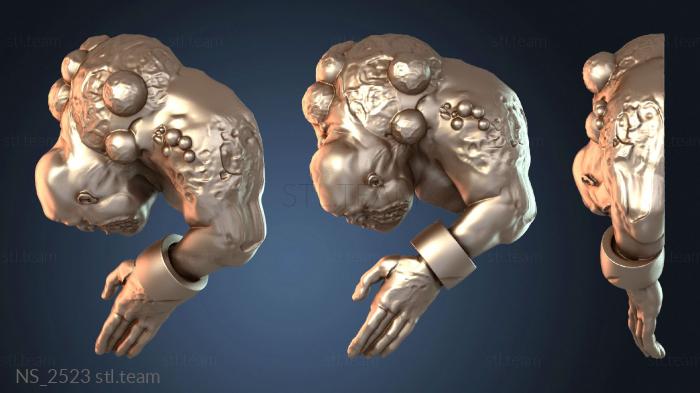 Нестандарт NS_2523