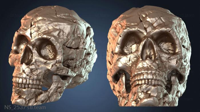 Нестандарт NS_2537