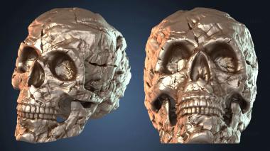 3D model Rock Skull Separate (STL)