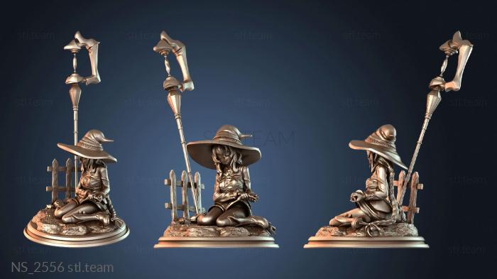 Нестандарт NS_2556