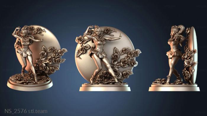 Нестандарт Sailor Jupiter