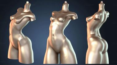 3D model Saitama and Tatsumaki NSFW Tatsumaki Torso (STL)