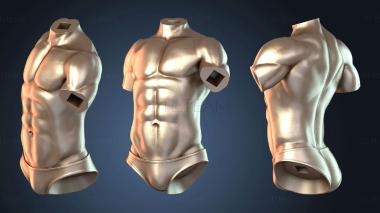 3D модель Сайтама и Тацумаки NSFW торс выразительный (STL)