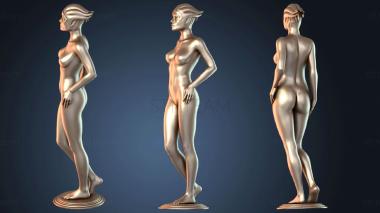 3D модель NESTANDART_2591 (STL)