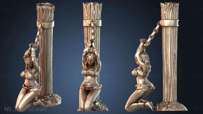 Нестандарт Schiav expressive