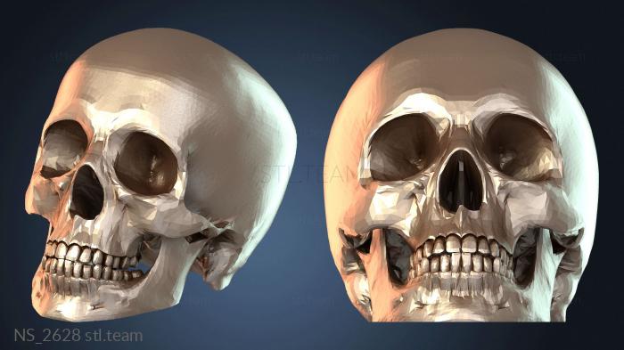 Нестандарт Scull Geant