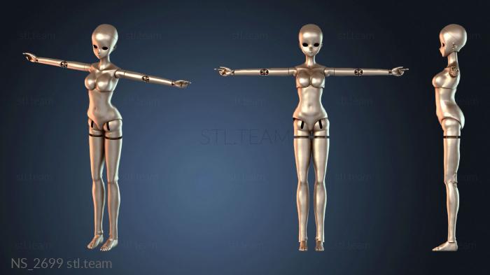 Нестандарт NS_2699