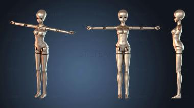 3D модель NESTANDART_2699 (STL)