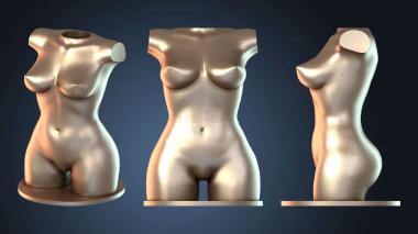 3D модель NESTANDART_2703 (STL)