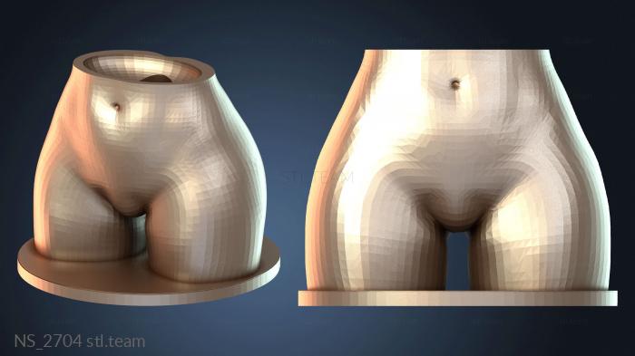 Нестандарт NS_2704