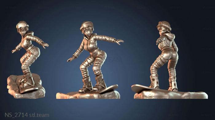 Нестандарт NS_2714