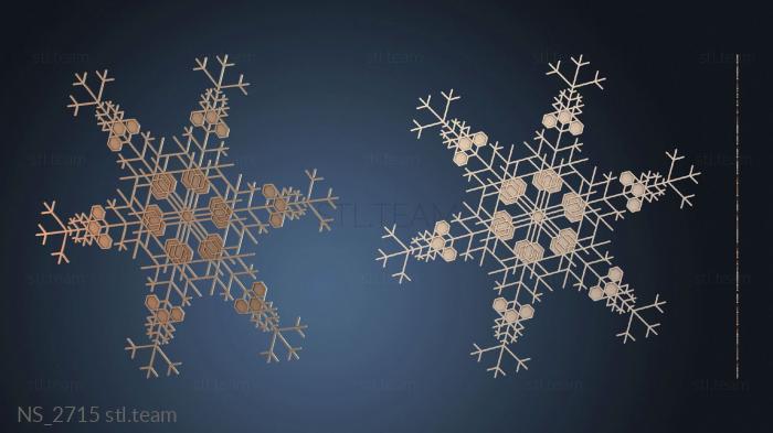 Нестандарт NS_2715