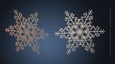 3D model Snowflake frozen (STL)