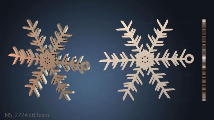 Нестандарт NS_2724