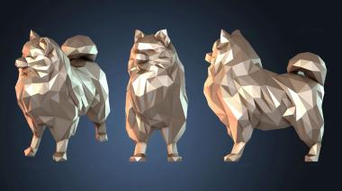 3D модель Шпиц Алемао (STL)