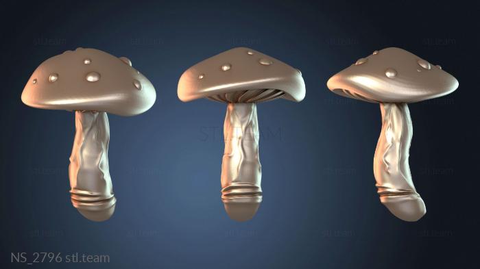 Нестандарт NS_2796