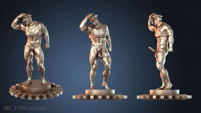 Нестандарт NS_2799