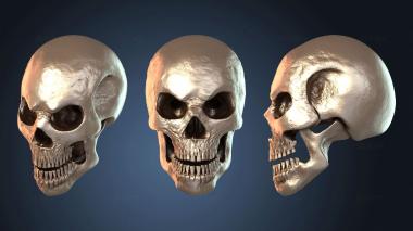 3D модель Стилизованный череп (STL)