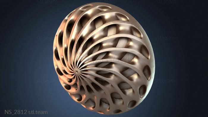 Нестандарт NS_2812