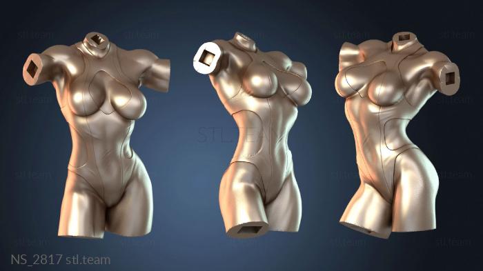 Нестандарт NS_2817